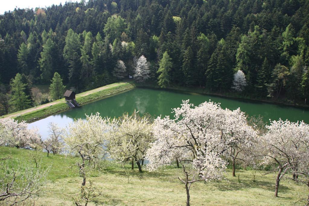 Sad Nad Klingerom Casa de hóspedes Banská Štiavnica Exterior foto